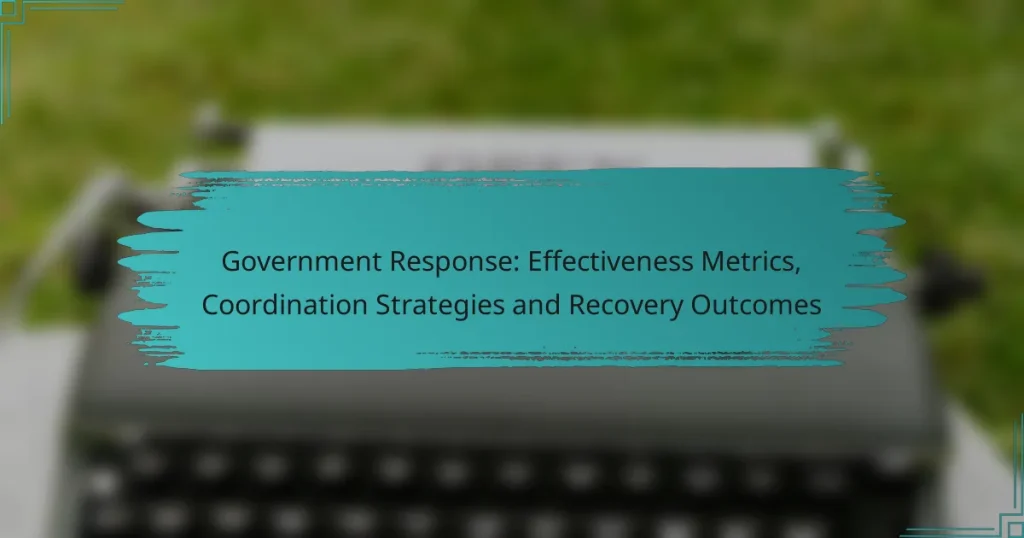 Government Response: Effectiveness Metrics, Coordination Strategies and Recovery Outcomes