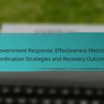 Government Response: Effectiveness Metrics, Coordination Strategies and Recovery Outcomes