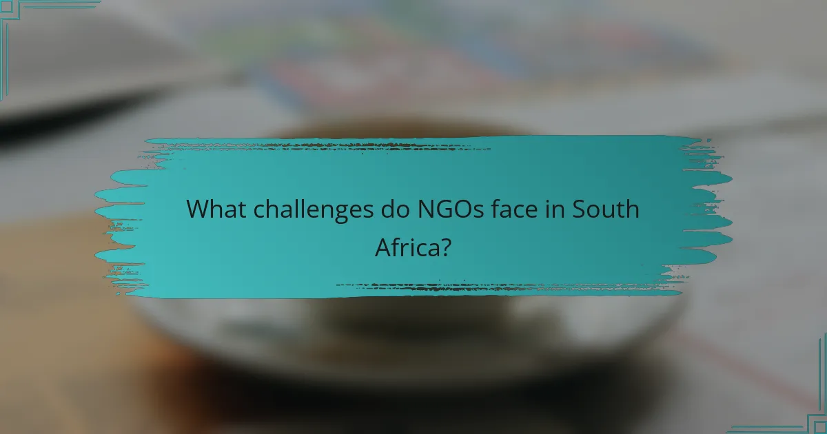 What challenges do NGOs face in South Africa?