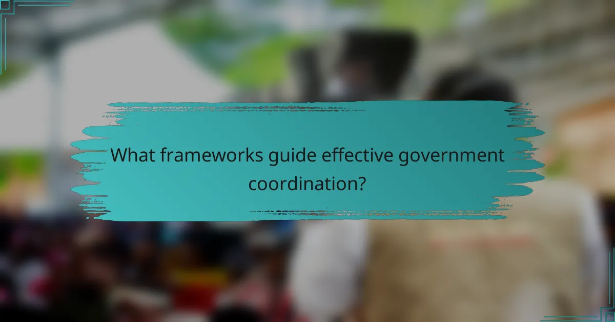 What frameworks guide effective government coordination?