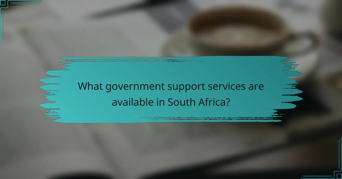 What government support services are available in South Africa?