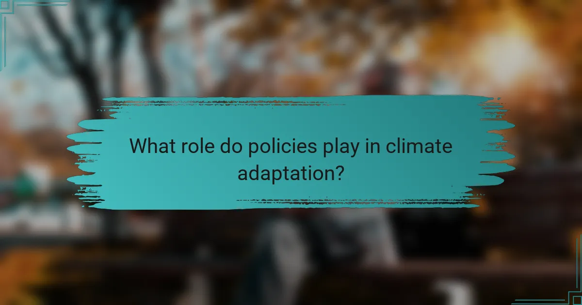 What role do policies play in climate adaptation?