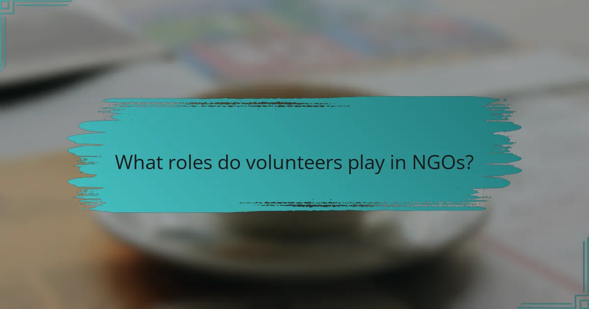 What roles do volunteers play in NGOs?